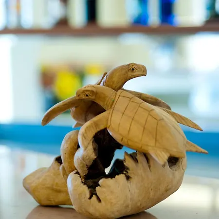Caretta 公寓式酒店 雅拉尼奥